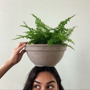 Meet your Posher, Aurora